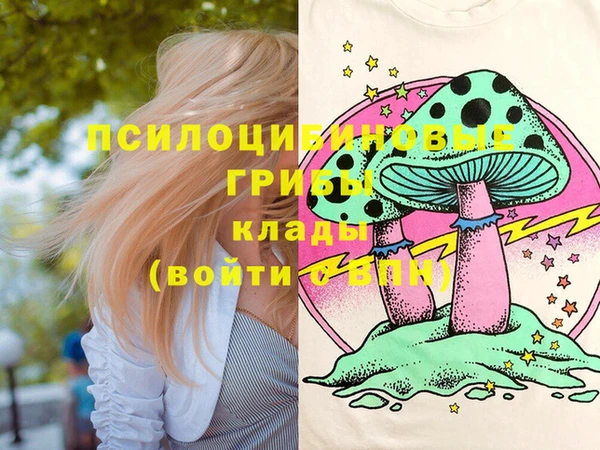 дмт Гусь-Хрустальный