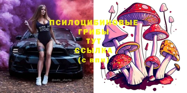 молекула духа Горнозаводск