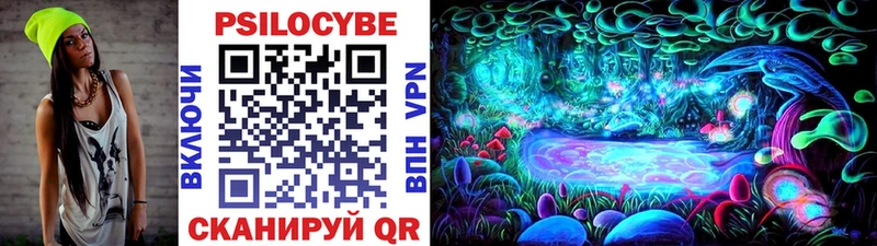 Купить  Данков  Галлюциногенные грибы MAGIC MUSHROOMS 